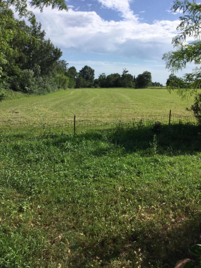 Appartement Dans Un Mas Provencal Istres Zewnętrze zdjęcie